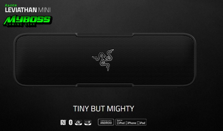 RAZER LEVIATHAN MINI