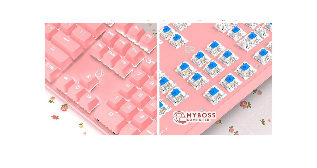 Bàn phím cợ HJK901 Pink/ Full Size Blue SW