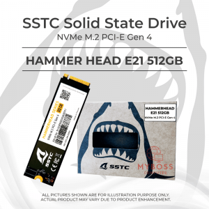 Ổ cứng SSD SSTC HAMMERHEAD E21 512GB M.2 NVMe PCI-e Gen4 x4