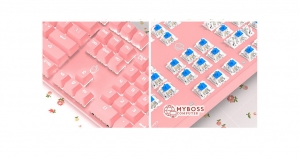 Bàn phím cợ HJK901 Pink/ Full Size Blue SW