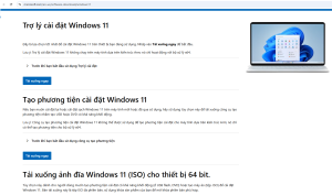 Phần mềm Key Windows 11 Pro 64-bit OEM/ Tem dán vĩnh viễn/ Dùng Cá nhân