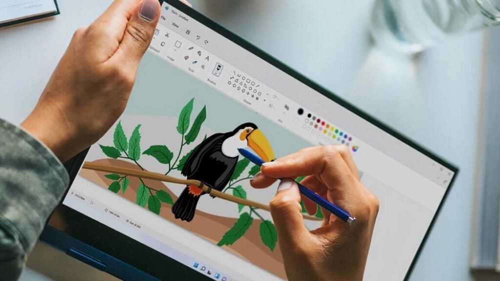 Microsoft Paint chuẩn bị được cập nhật tính năng tách nền, xoá phông như Photoshop